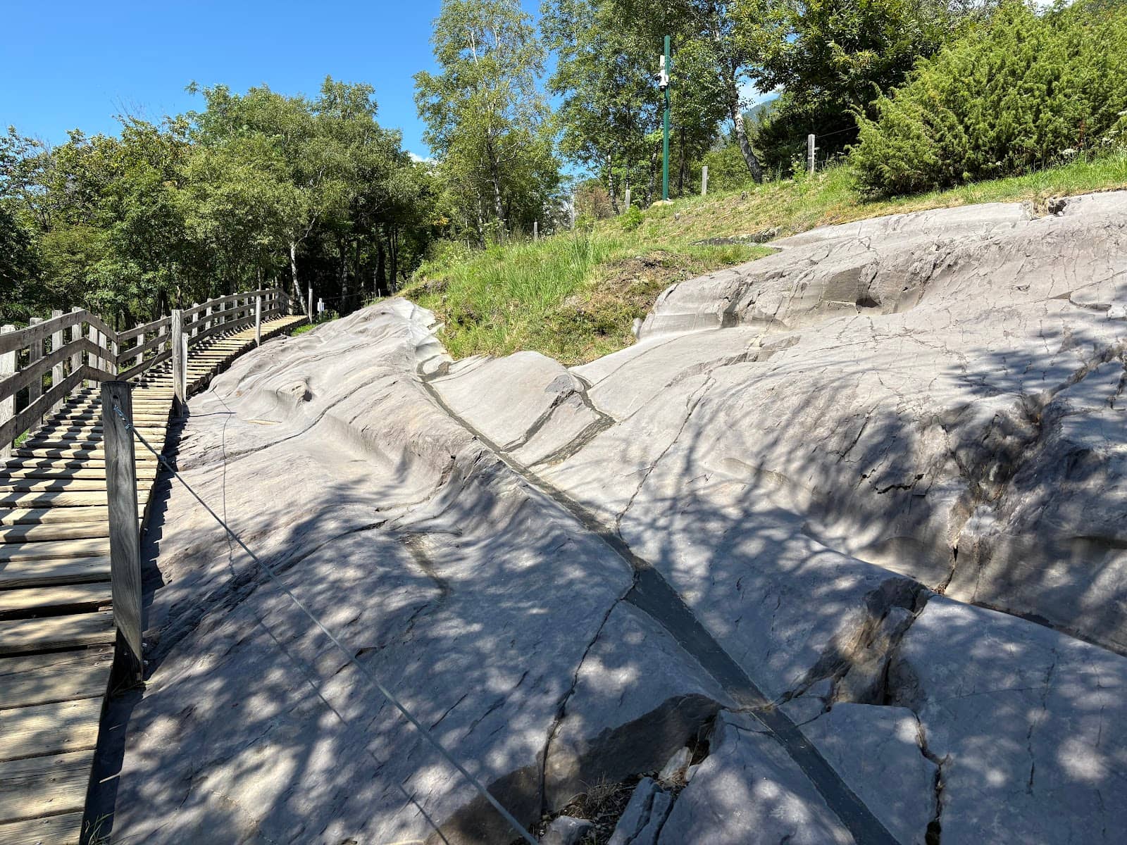 Informative Trails and Staff