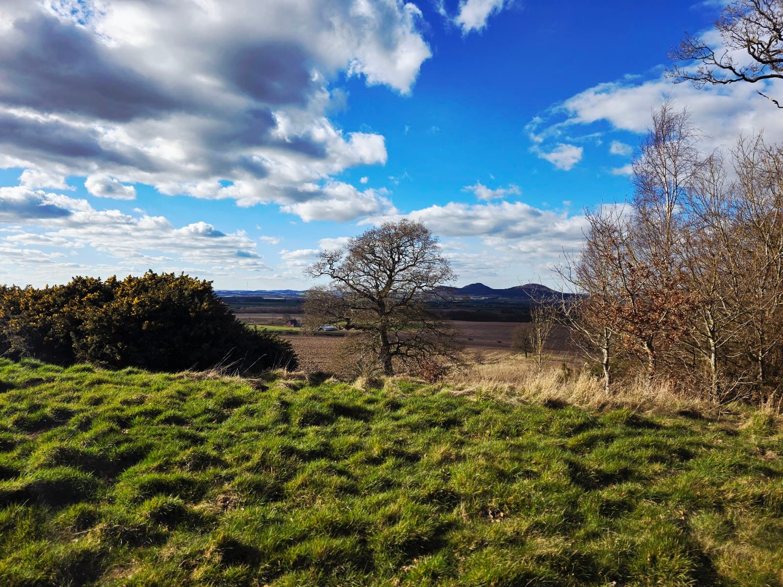 Lilliard's Stone - Image 1