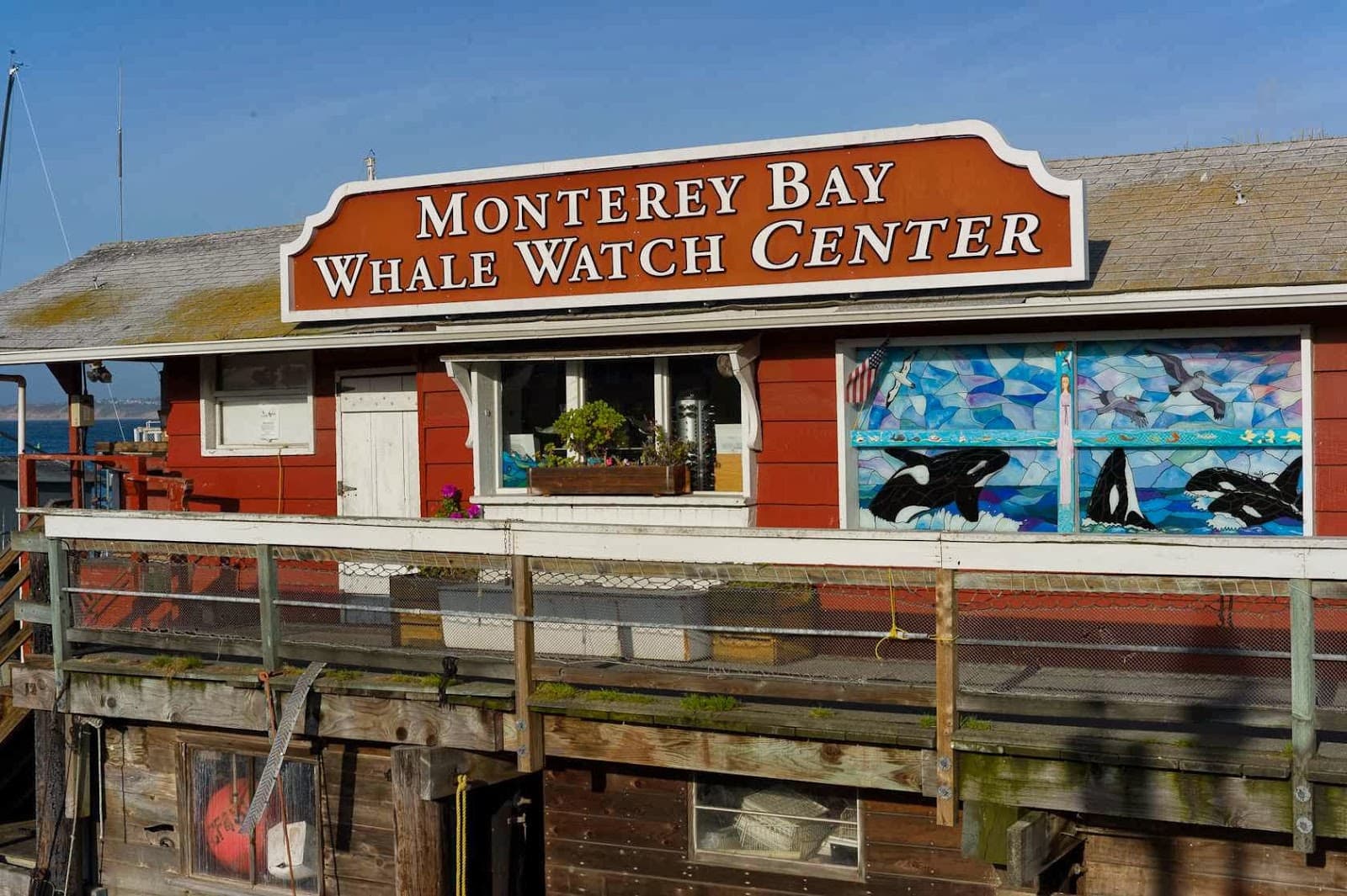 Monterey Bay Whale Watch - Image 1