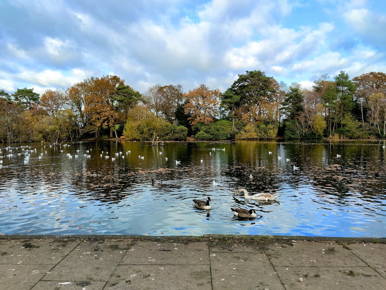 California Country Park - Image 1