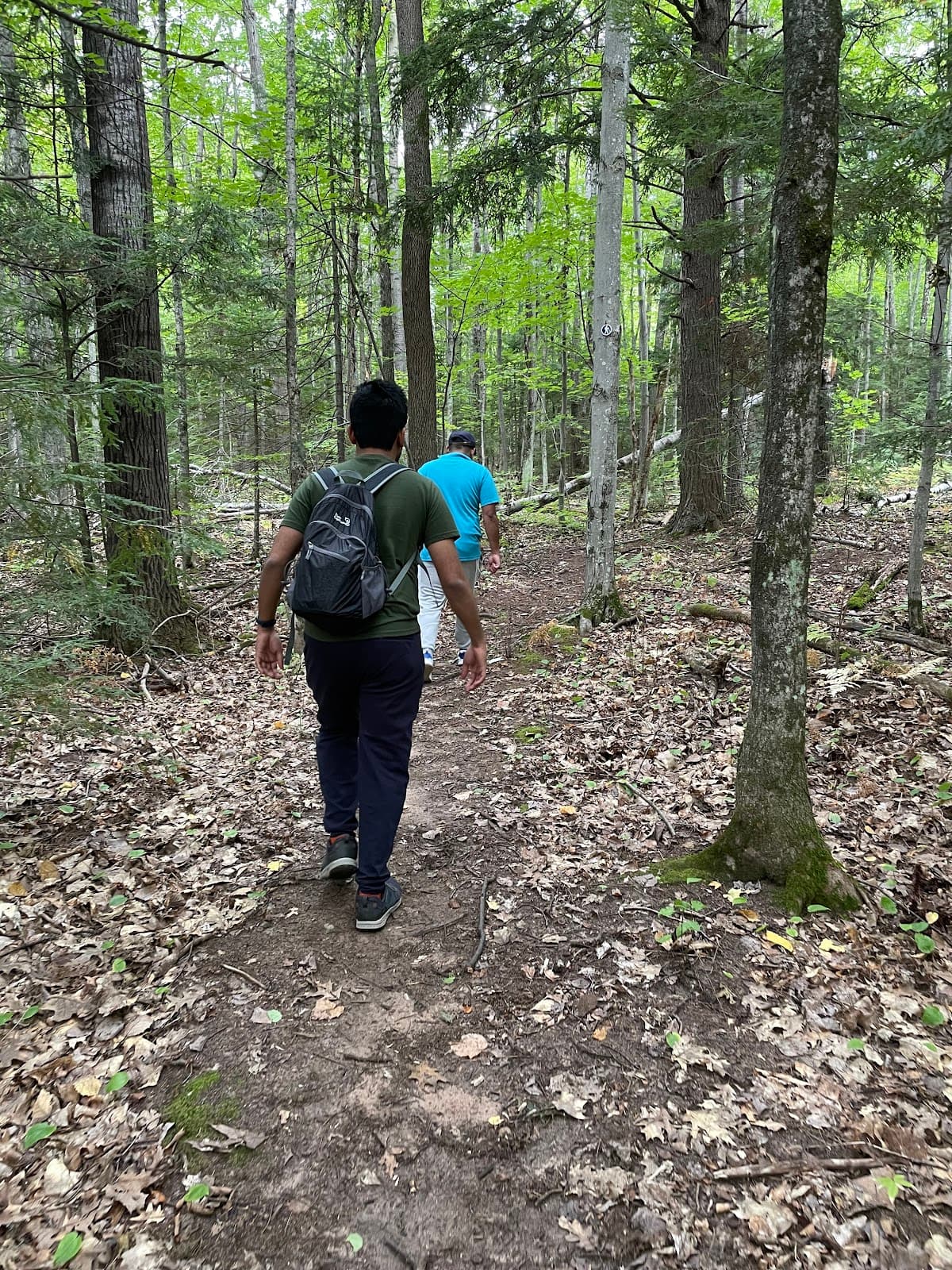 Big Ravine Preserve & Iron Bridge - Image 1