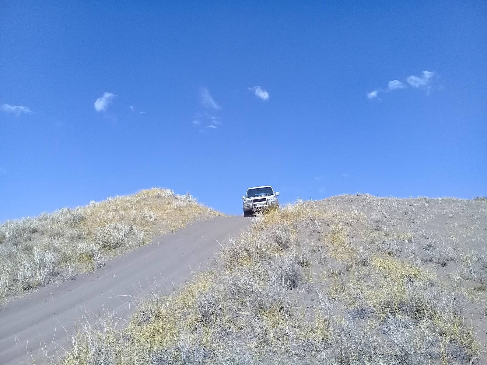 Dune Boarding Thrills