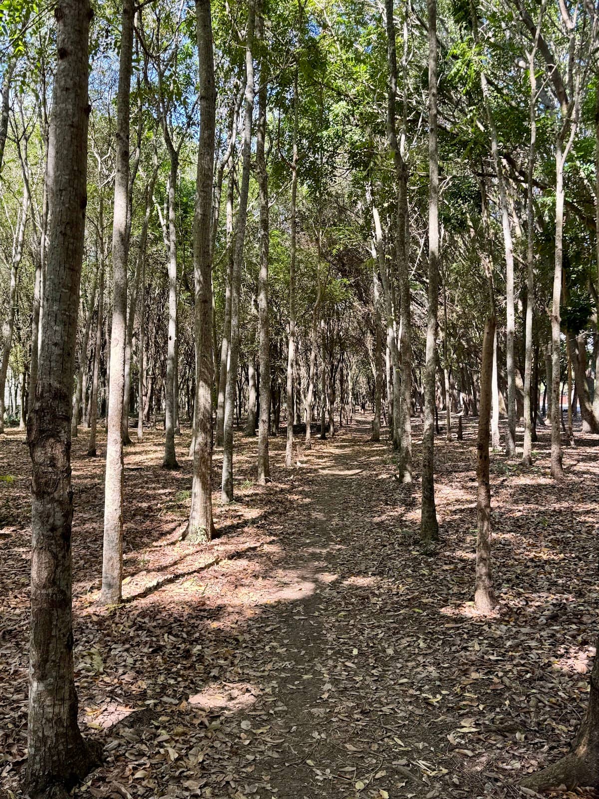 Sports & Fitness Hub