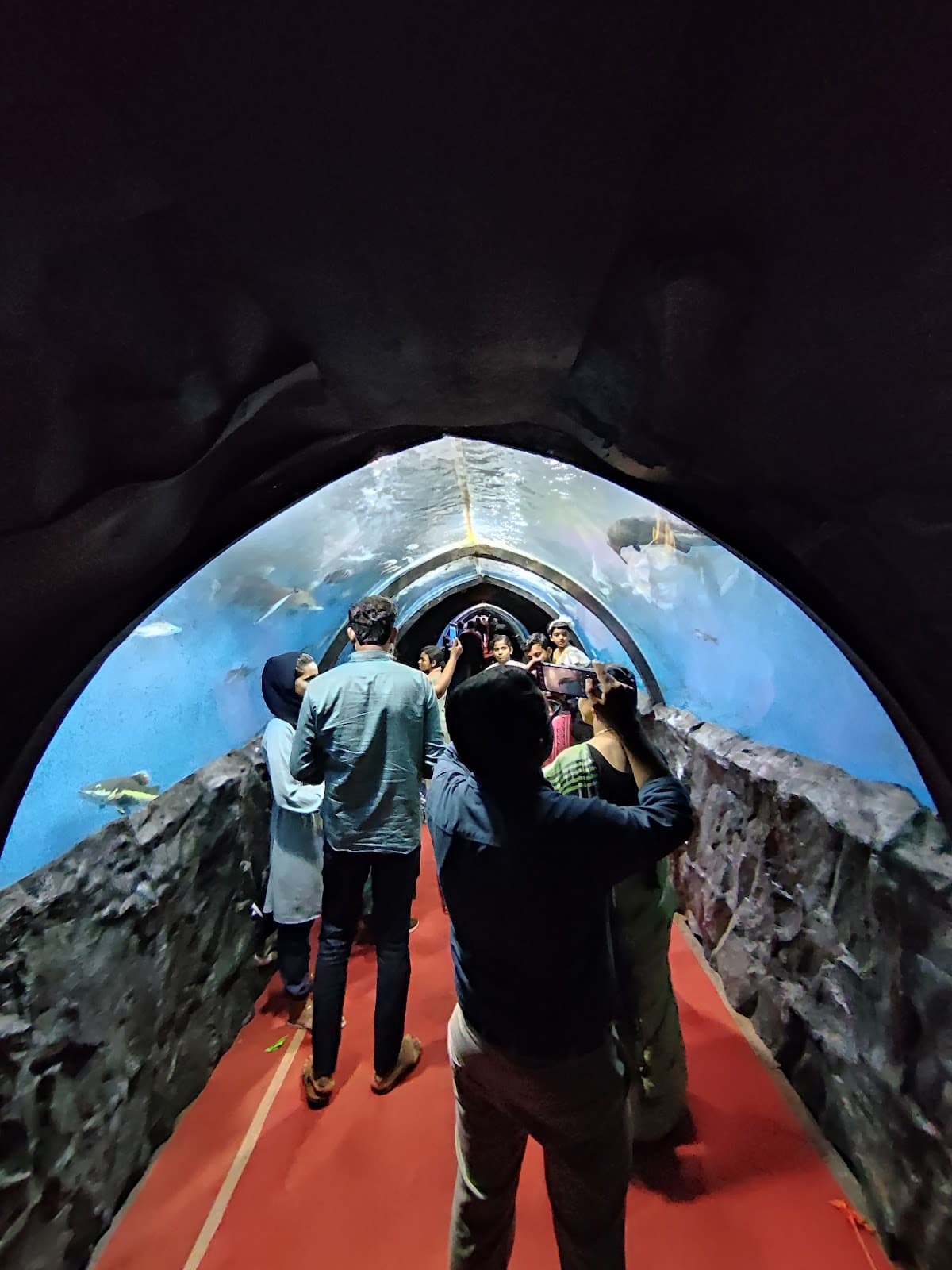 Kozhikode Marine Aquarium - Image 1