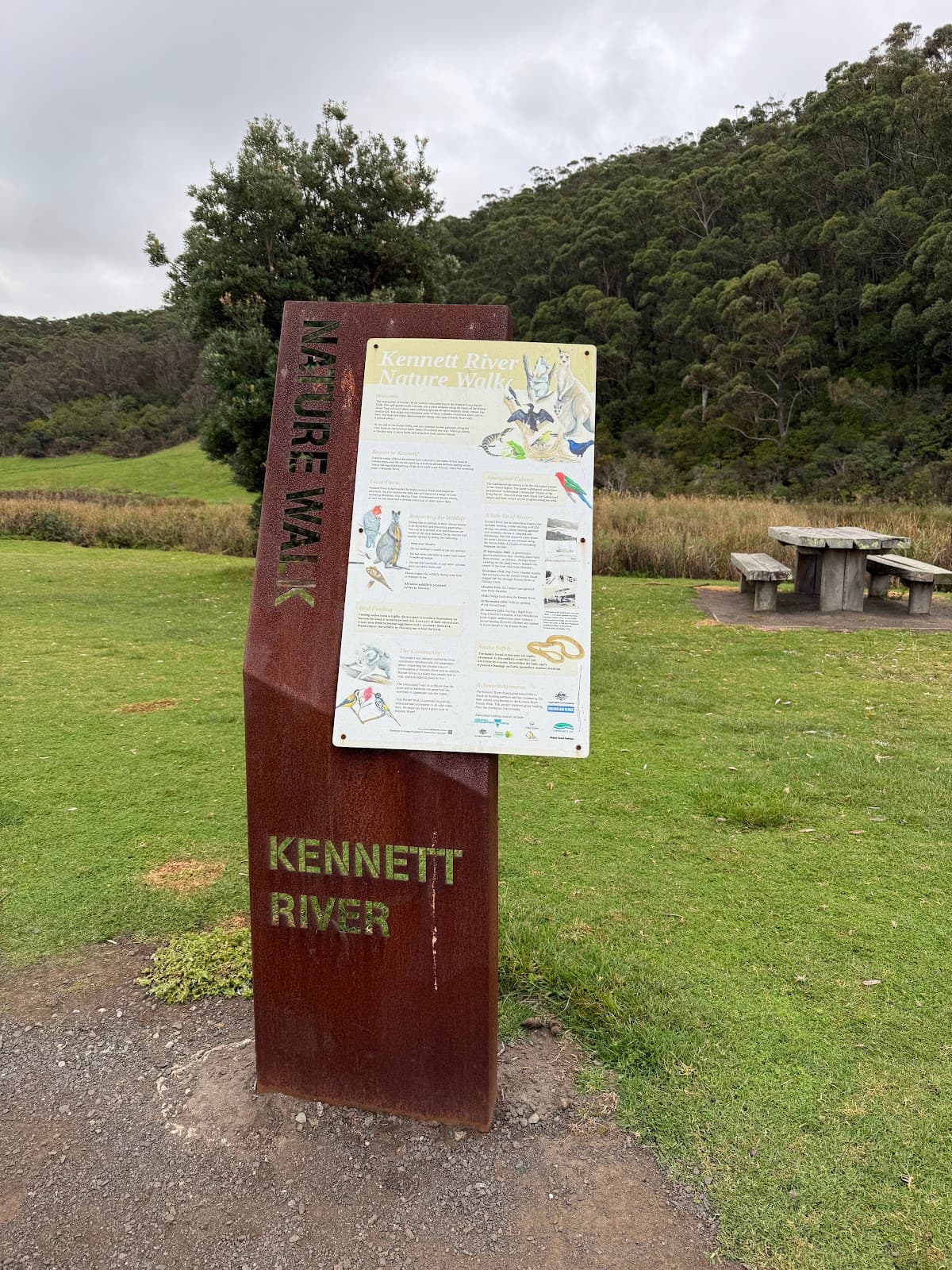 Kennett River Koala Walk - Image 1