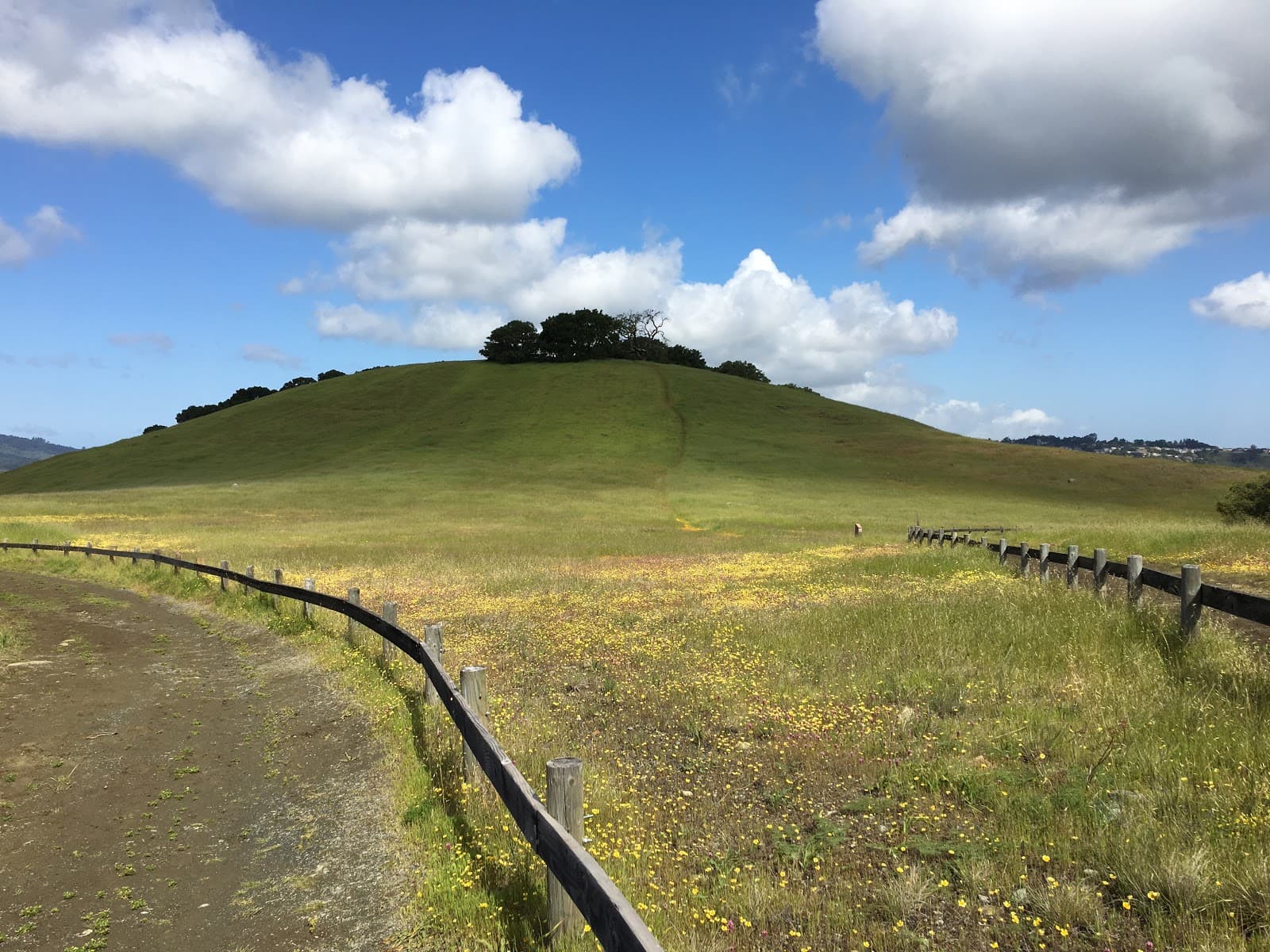 Edgewood Park & Natural Preserve - Image 1