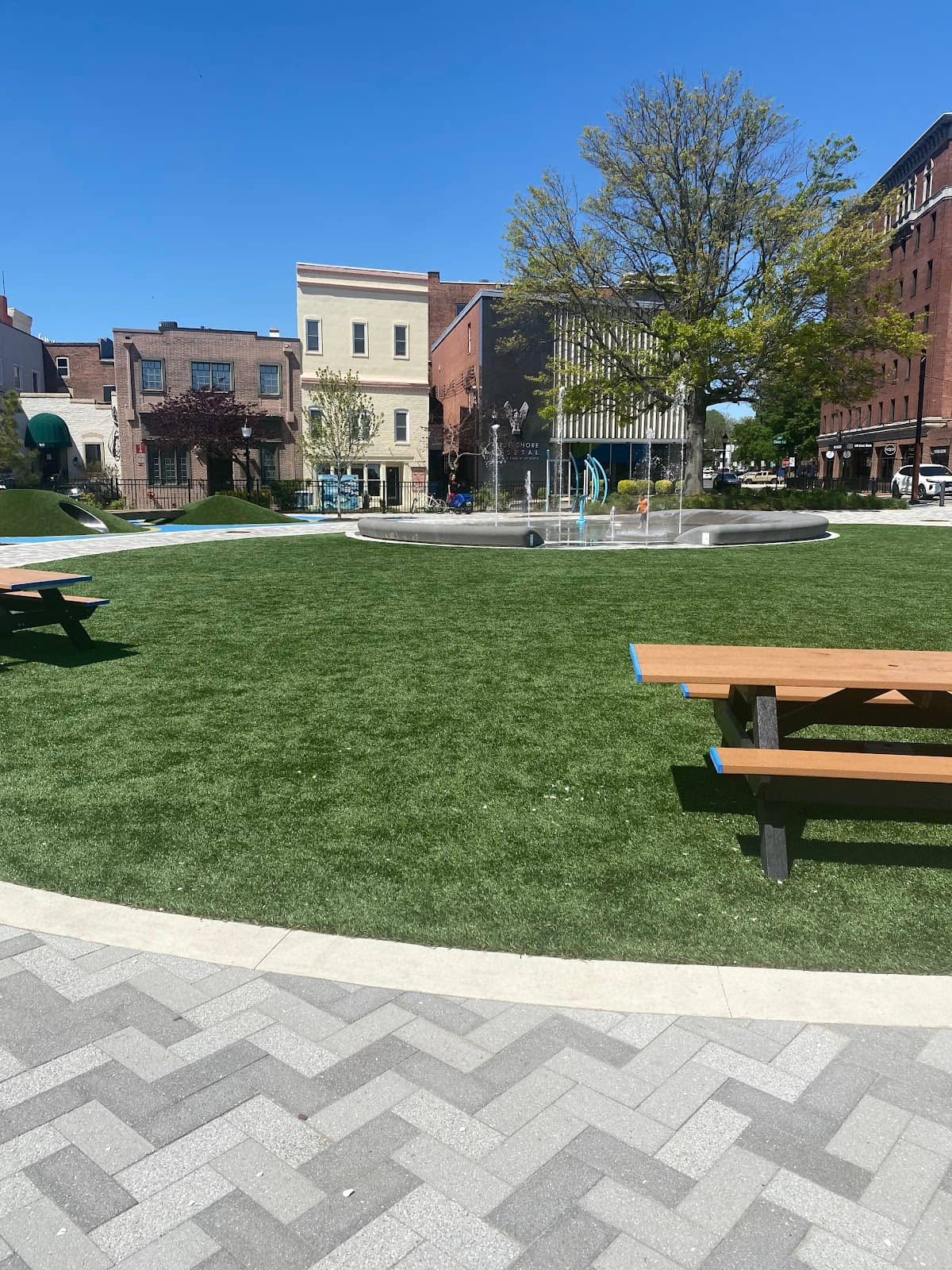 Nocturna - Coffee and Oddities