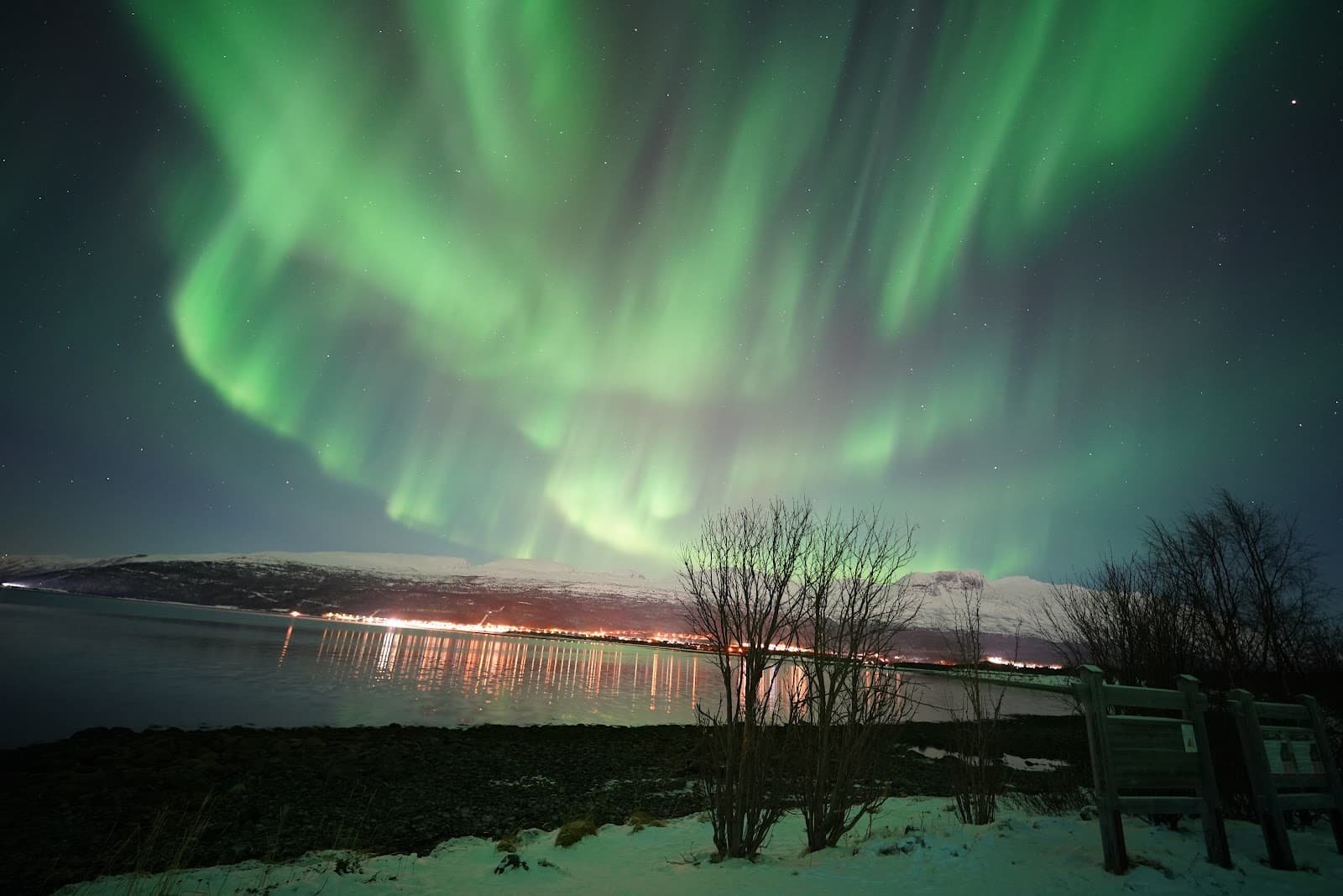 Northern Lights Tour Tromsø - Image 1