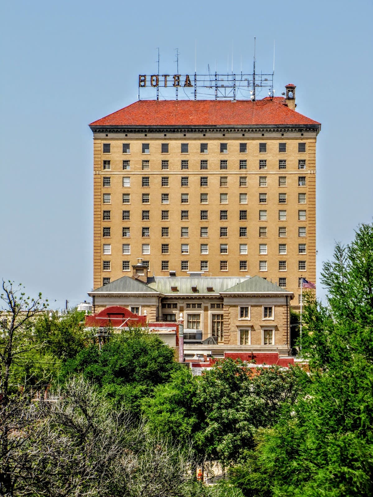 Cactus Hotel - Image 1