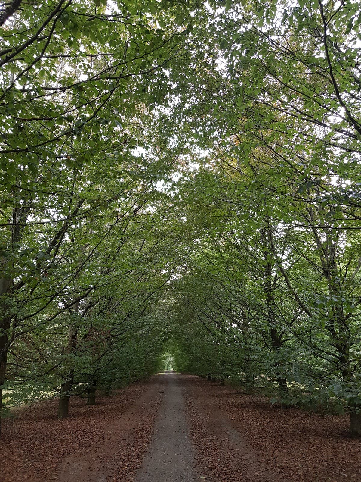 Naturpark Our - Image 1