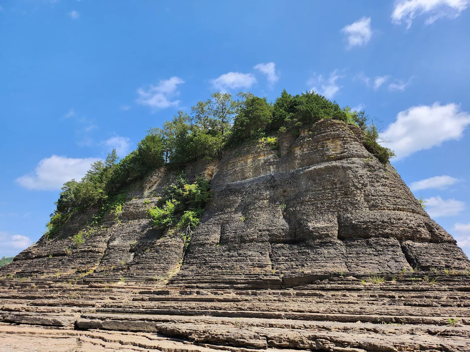 Panoramic River Views