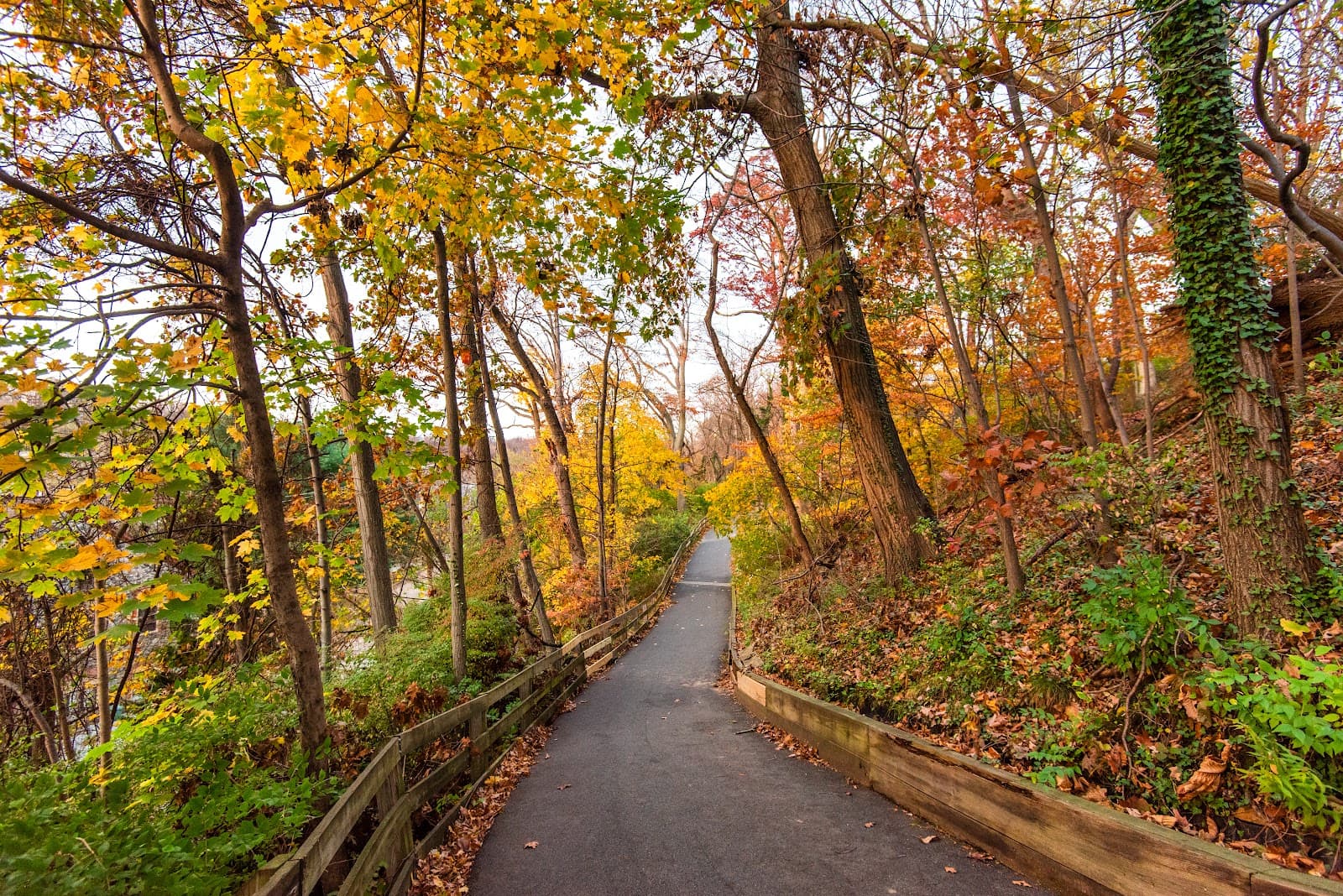 Alapocas Falls - Image 1