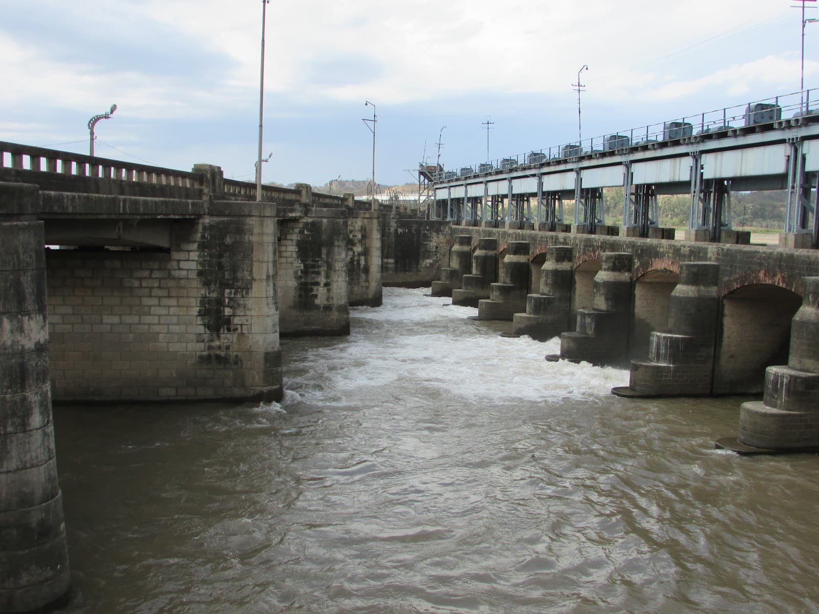 Ropar Wetland (Ropar Lake) - Image 1