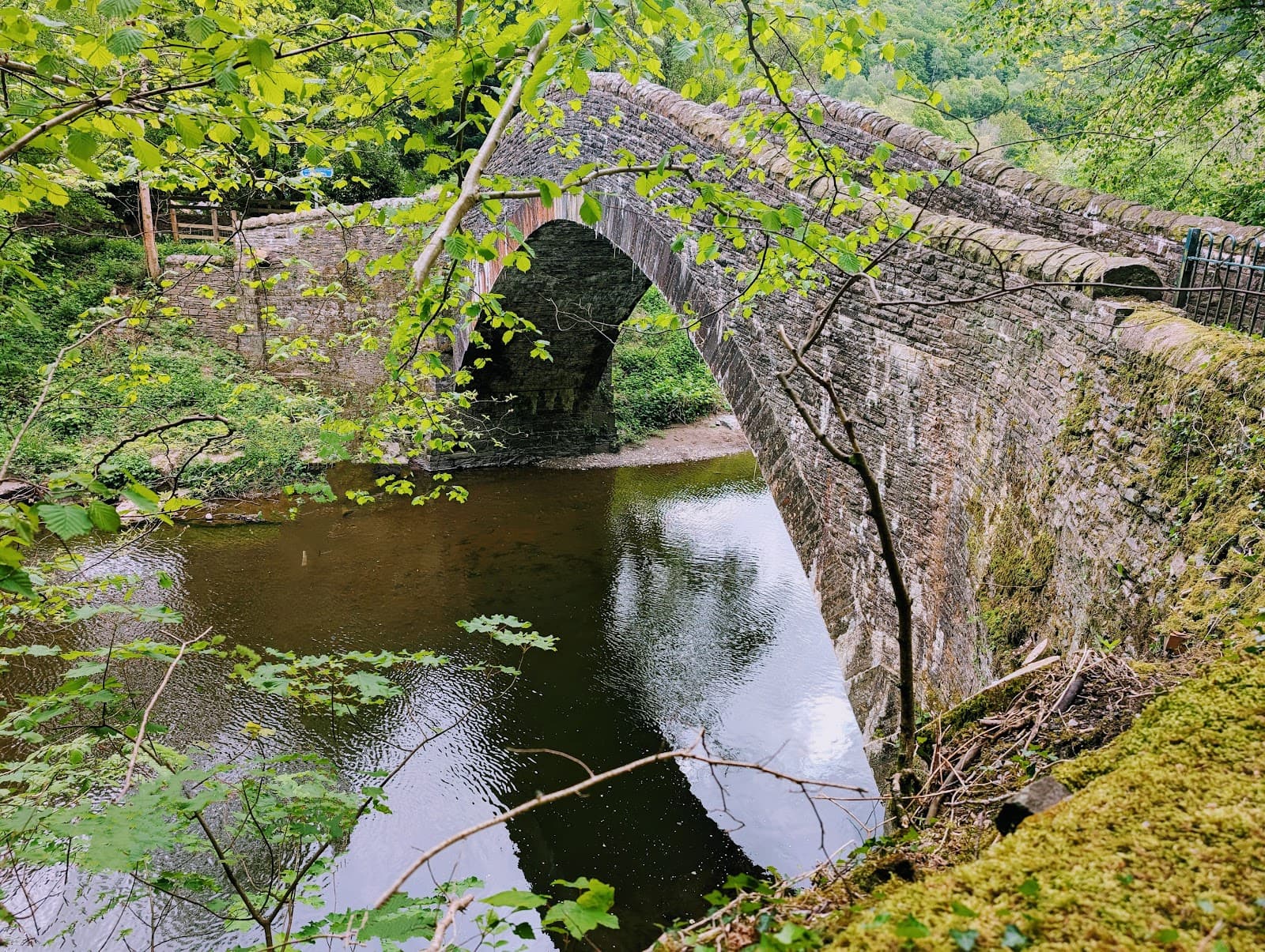 Taf Fechan Nature Reserve - Image 1