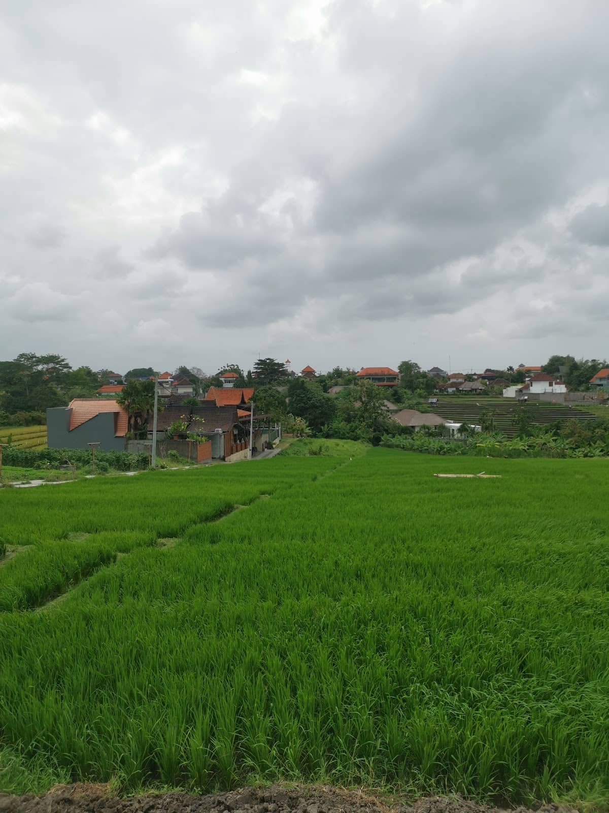 The 'Then and Now' Transformation