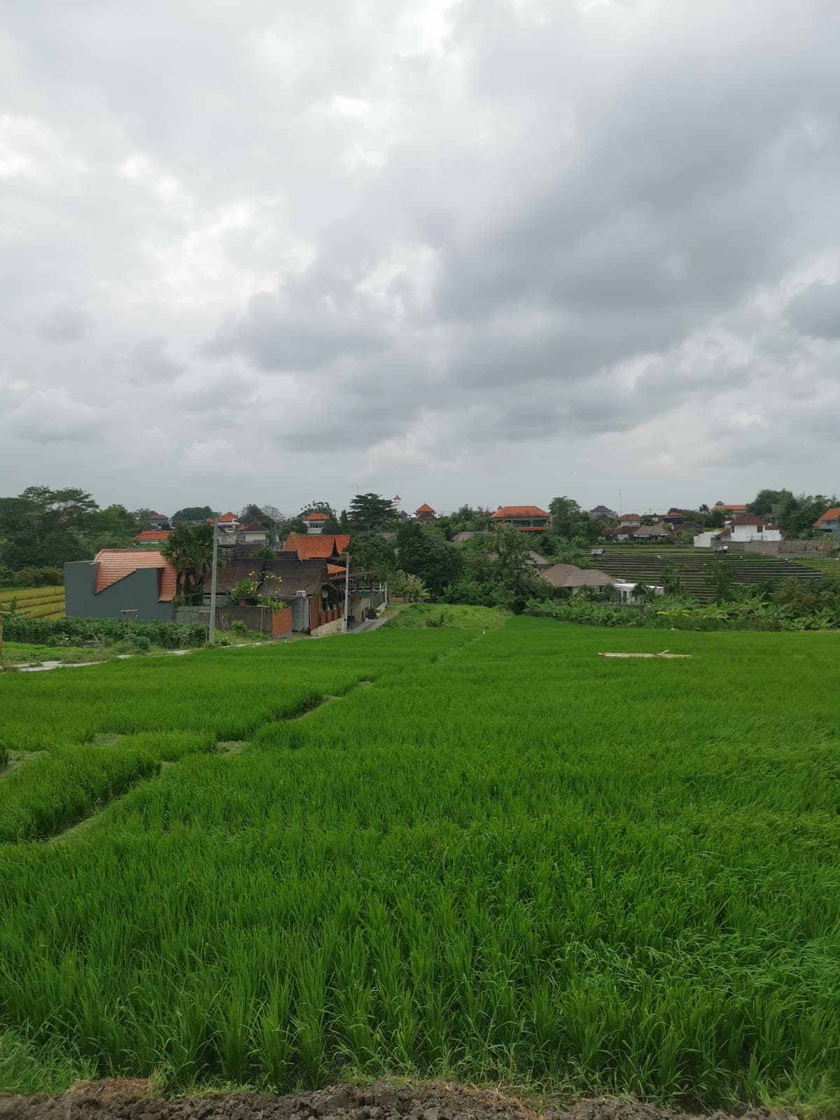 Canggu Shortcut - Image 1