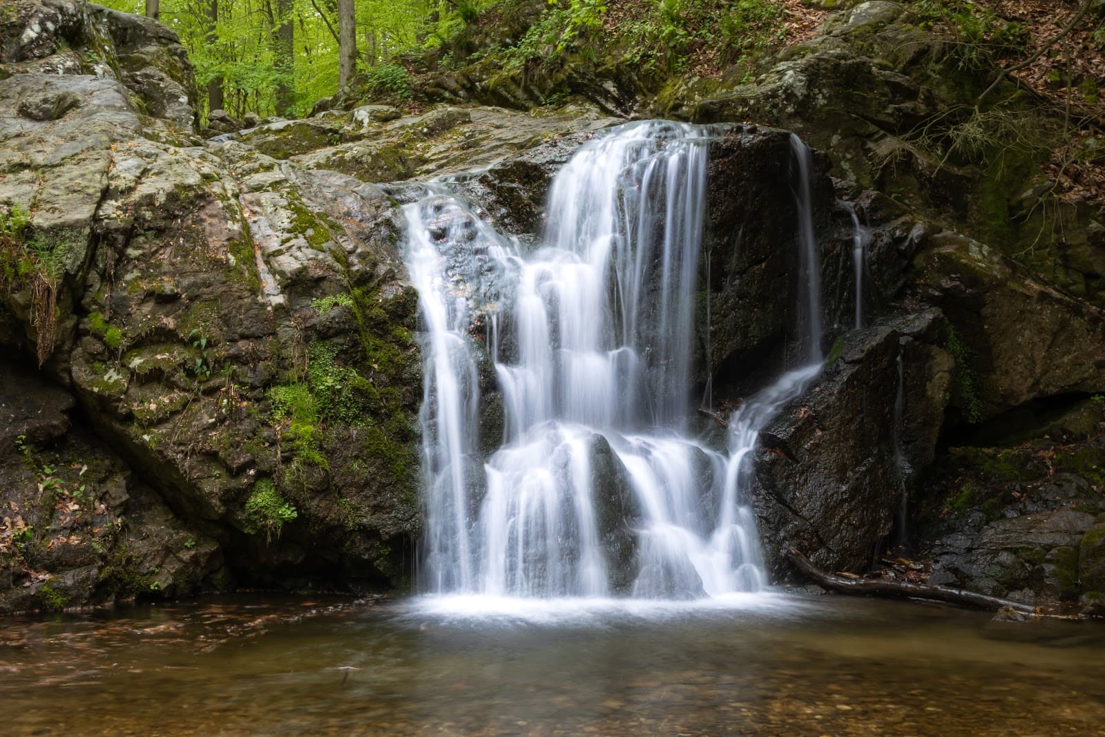 Cascade Falls - Image 1