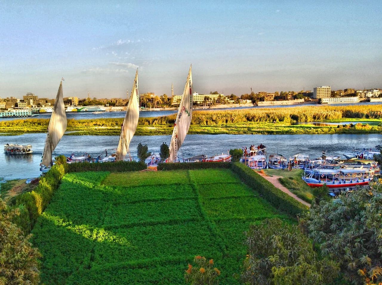 Banana Island - Image 1