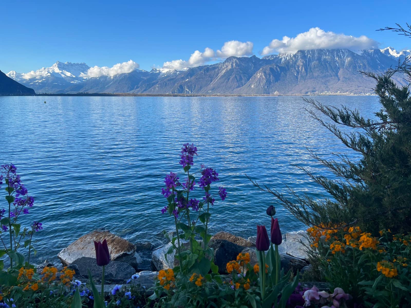 Christmas Market Magic