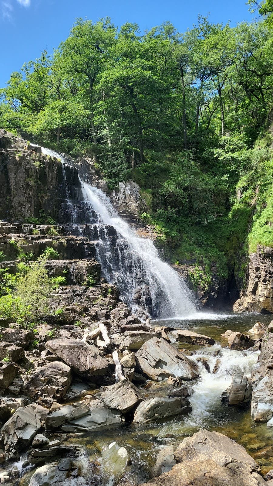 Coed y Brenin Forest Park - Image 1