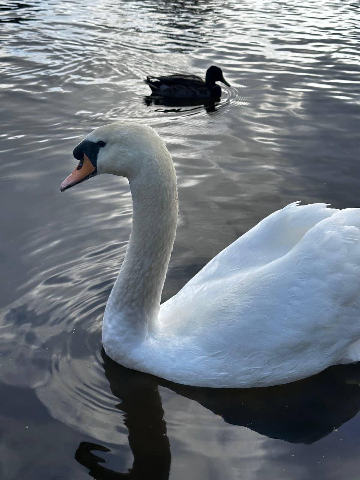 Educational Nature Spotting