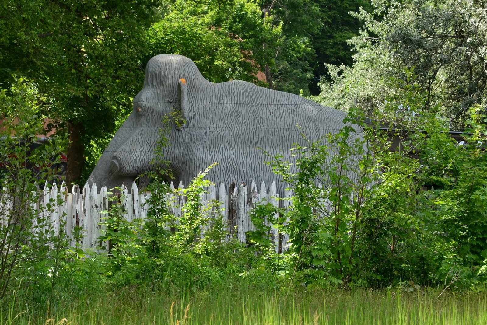 Plänterwald Forest Trails