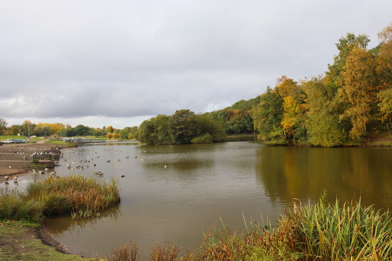 Central Forest Park - Image 1