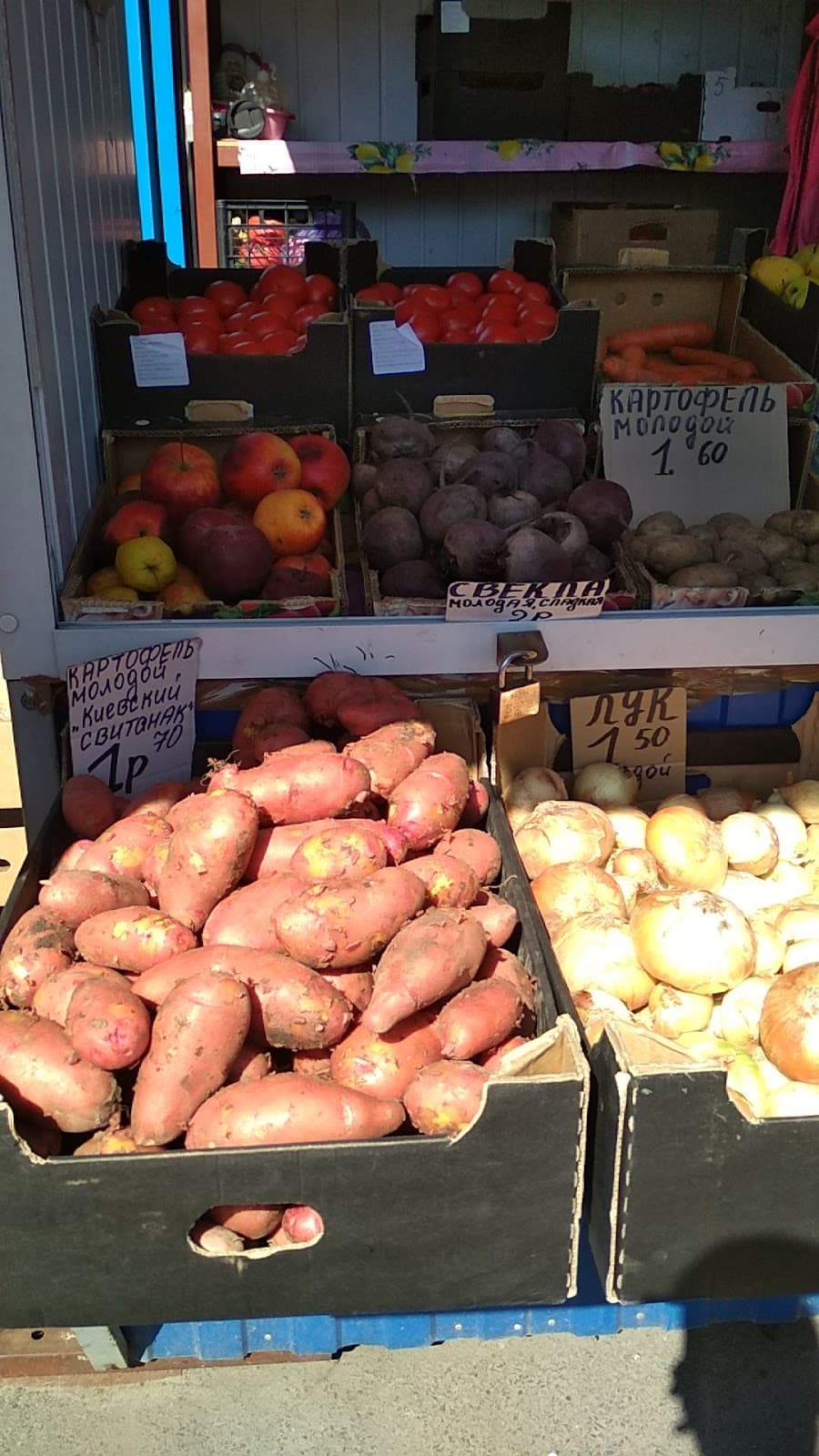 Novobelitsa Bridge - Image 1