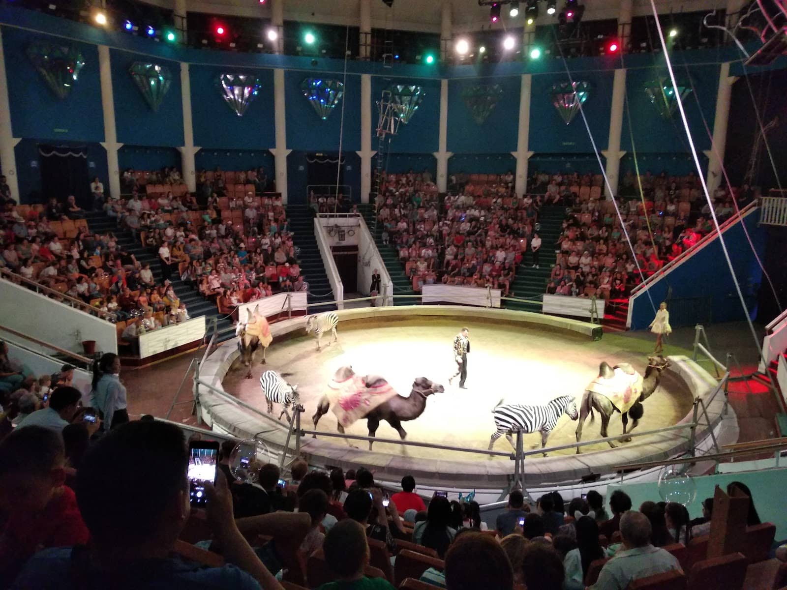 Themed Holiday Shows