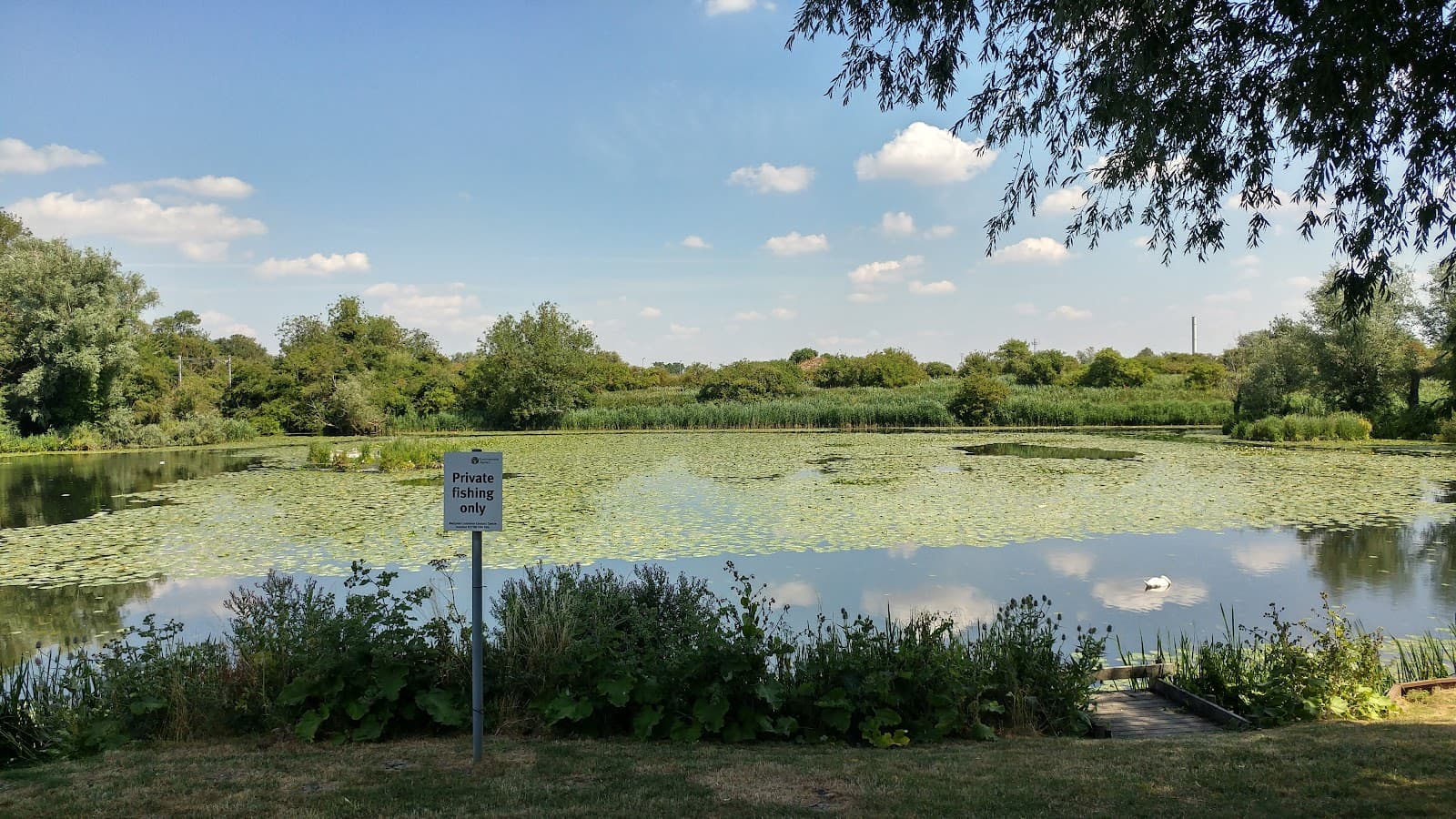 Roswell Pits Nature Reserve - Image 1