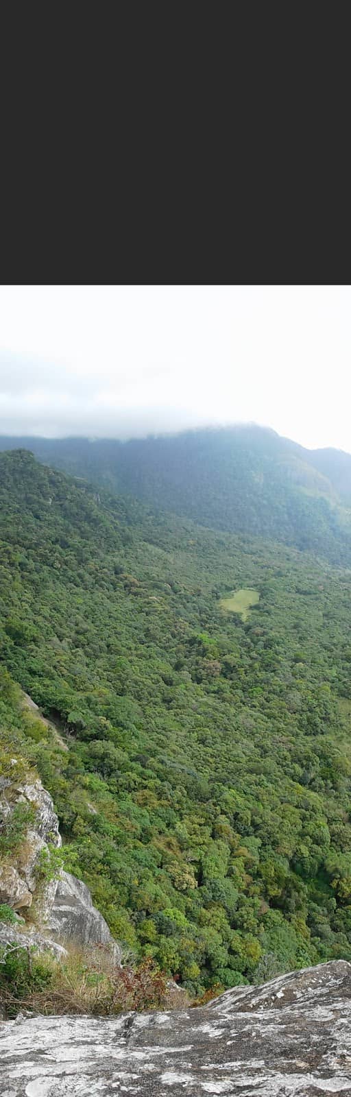 Panoramic Mountain Vistas