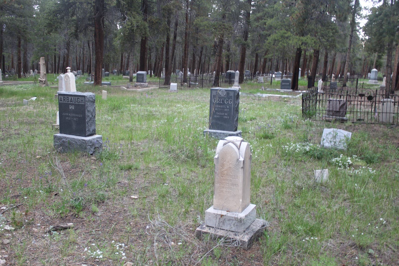 Evergreen Cemetery - Image 1