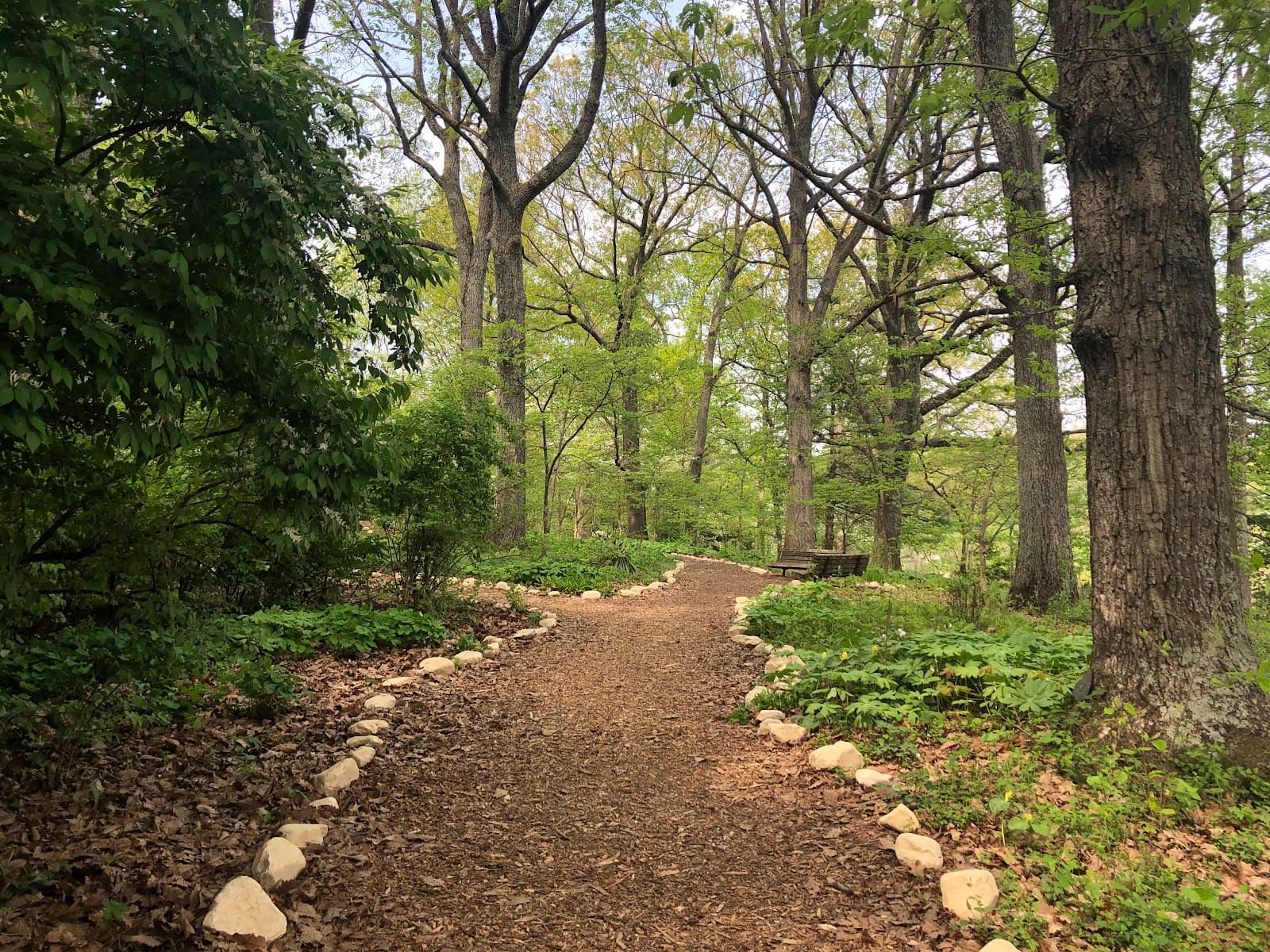 Mill Mountain Wildflower Garden - Image 1