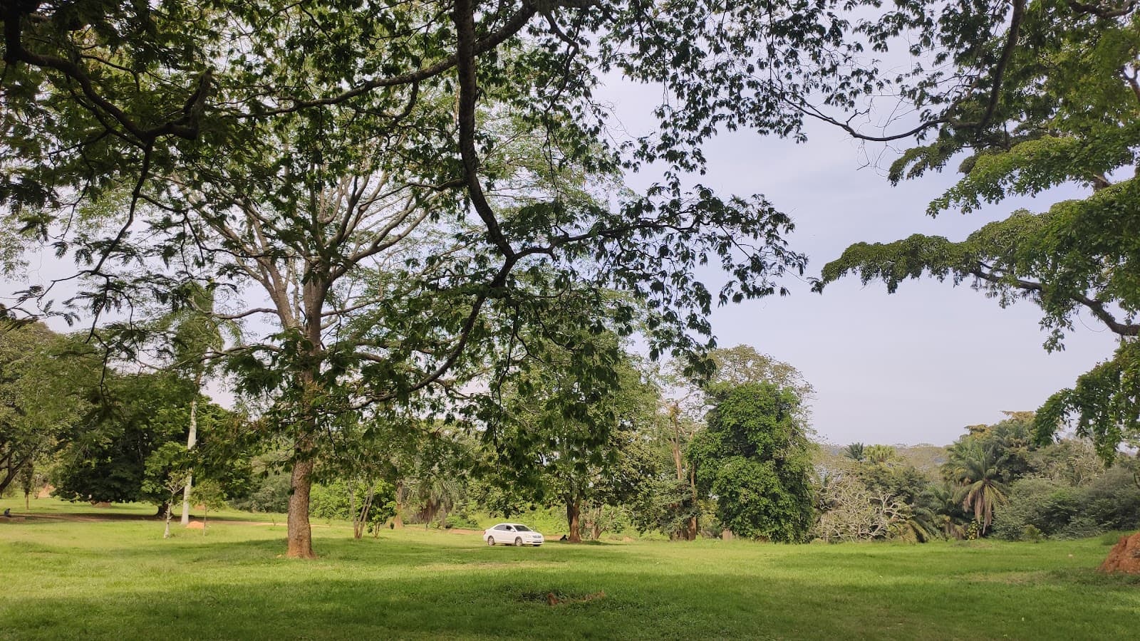 Entebbe Botanical Gardens - Image 1