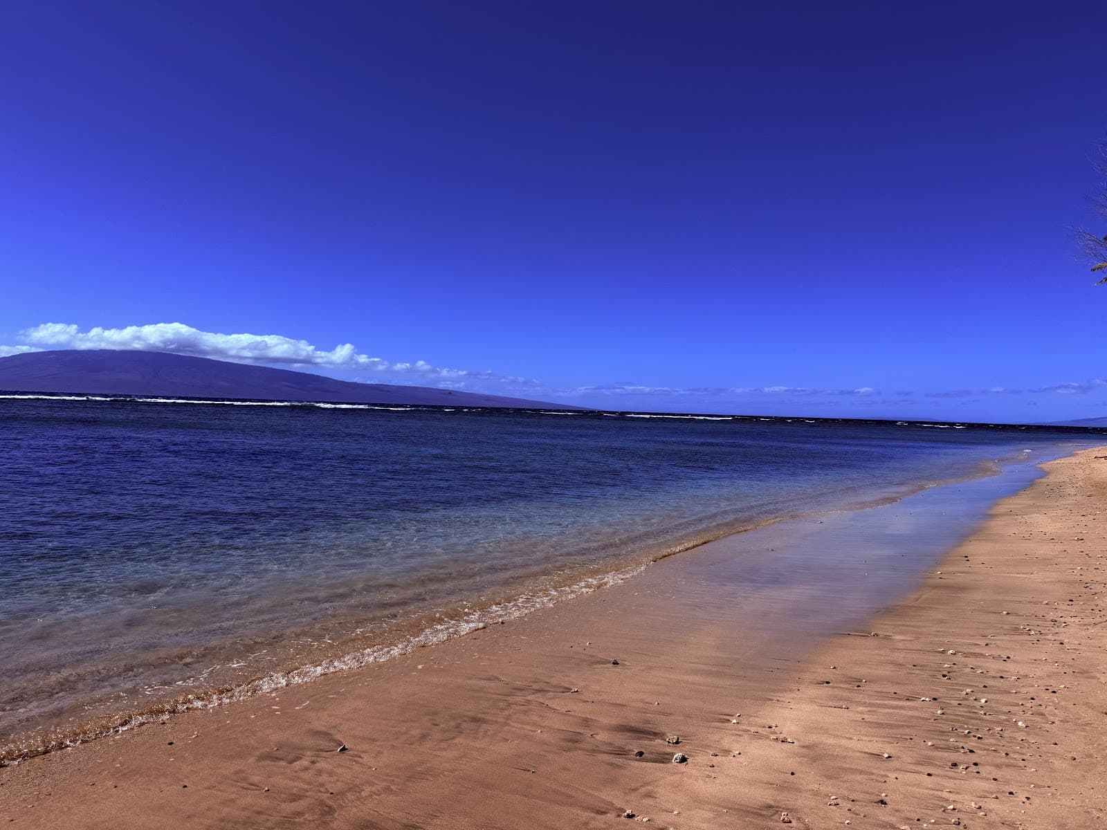 Puunoa Point Baby Beach Lahaina Maui - Image 1