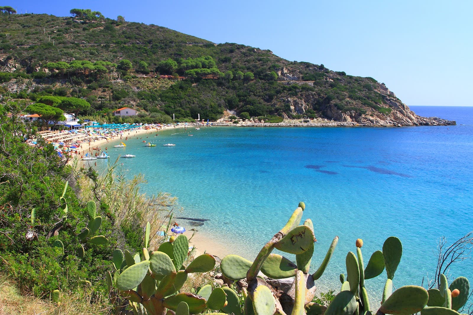 Cavoli Beach - Image 1