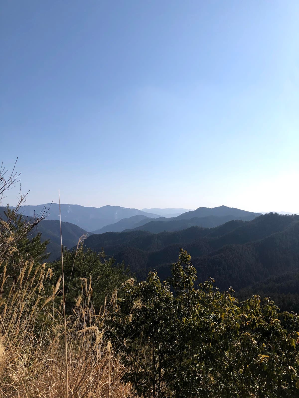 Choishi Michi Trail Koyasan - Image 1