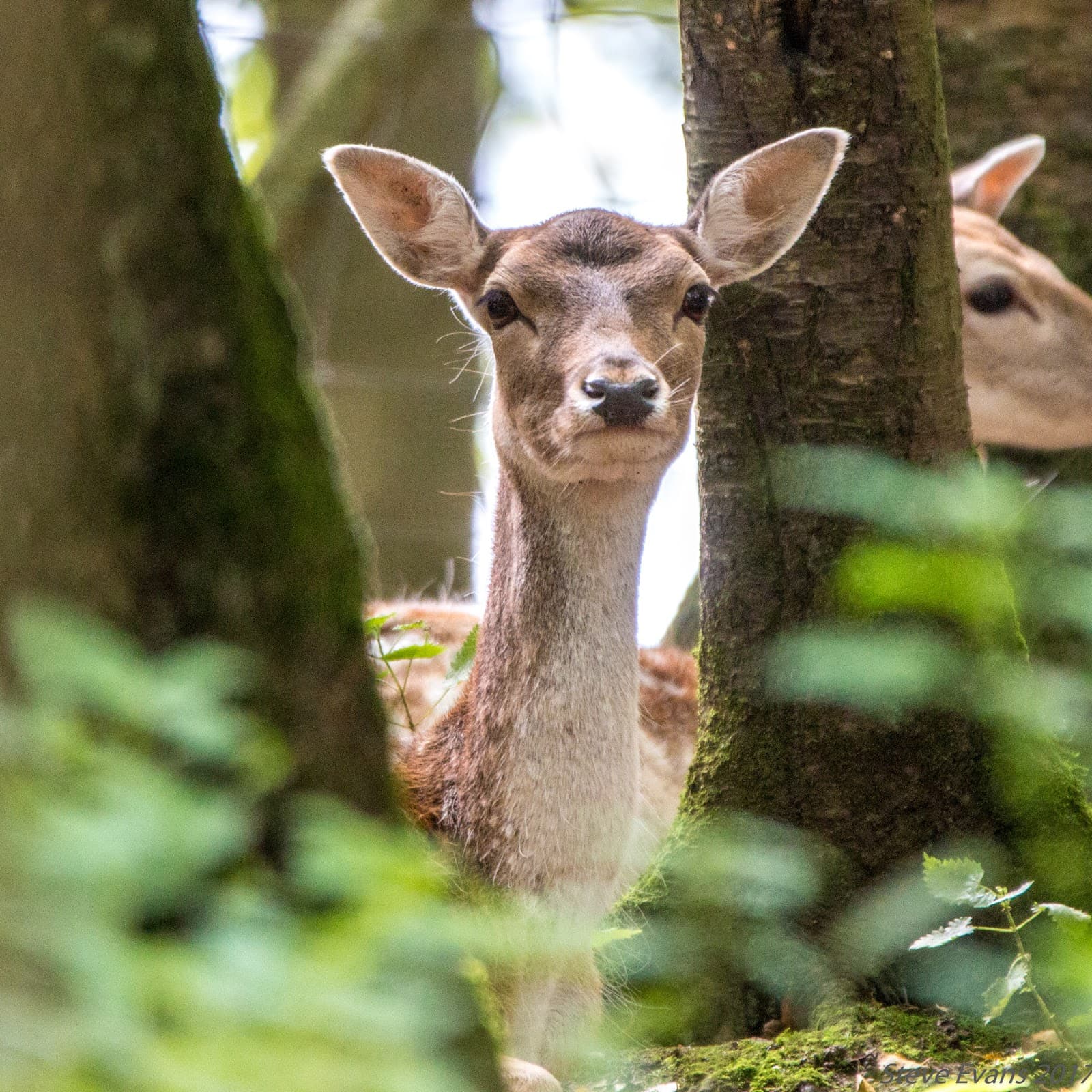 Tamar Otter & Wildlife Centre - Image 1