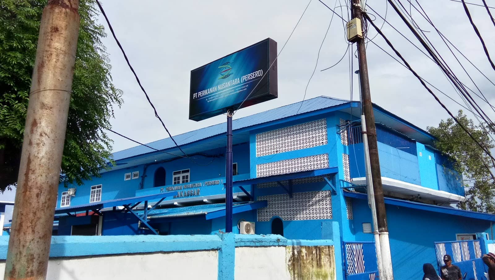 Diverse Seafood Selection