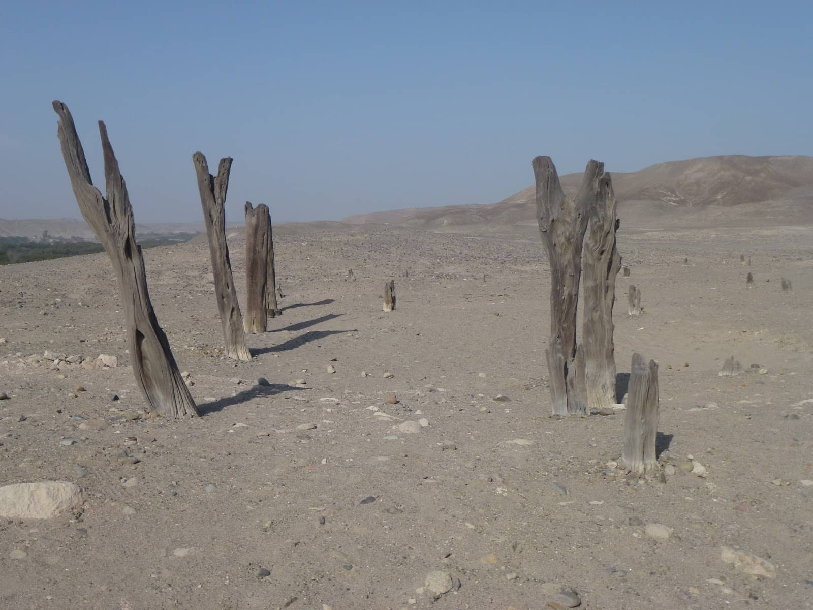 Evidence of Mudslide Impact