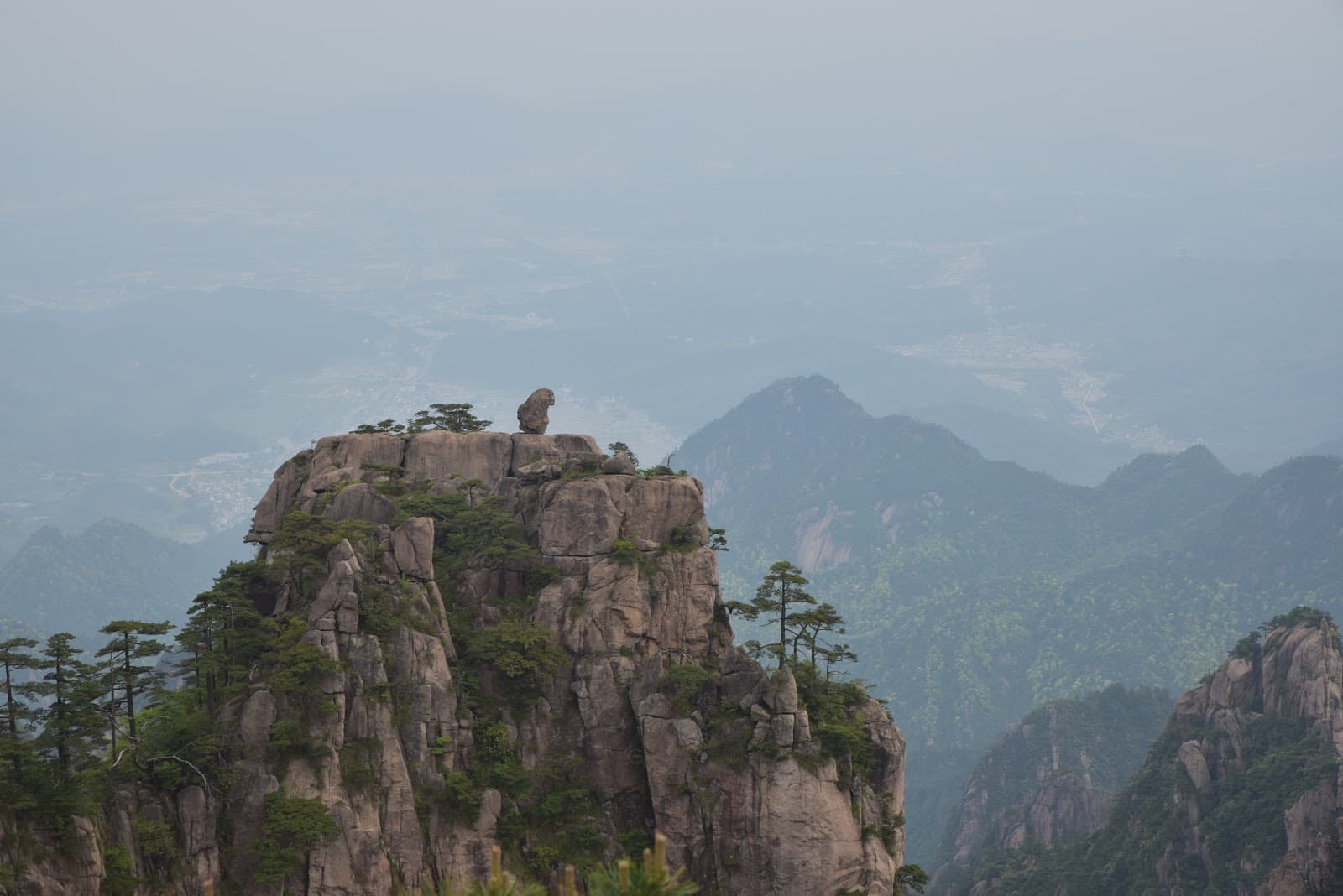 Monkey Watching the Sea - Image 1