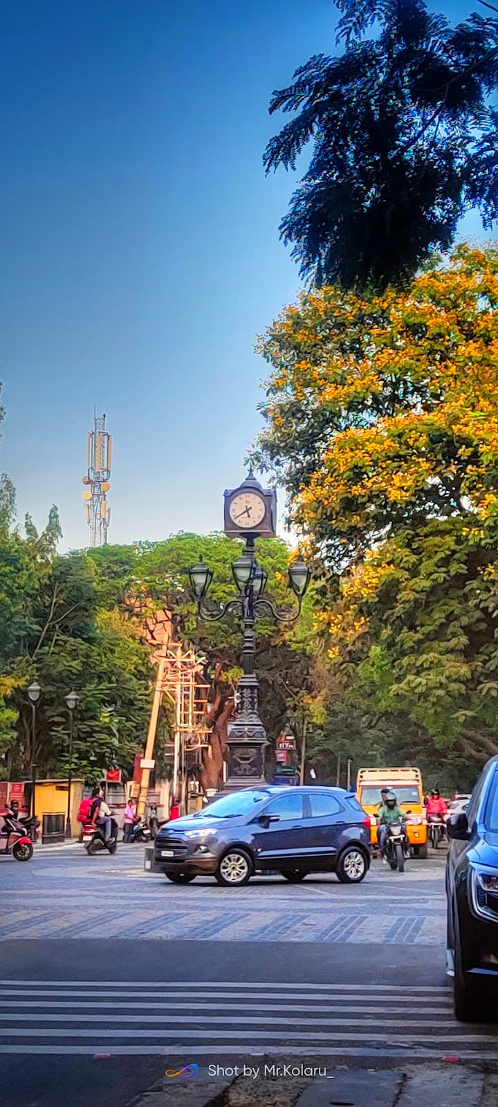 RS Puram Coimbatore - Image 1