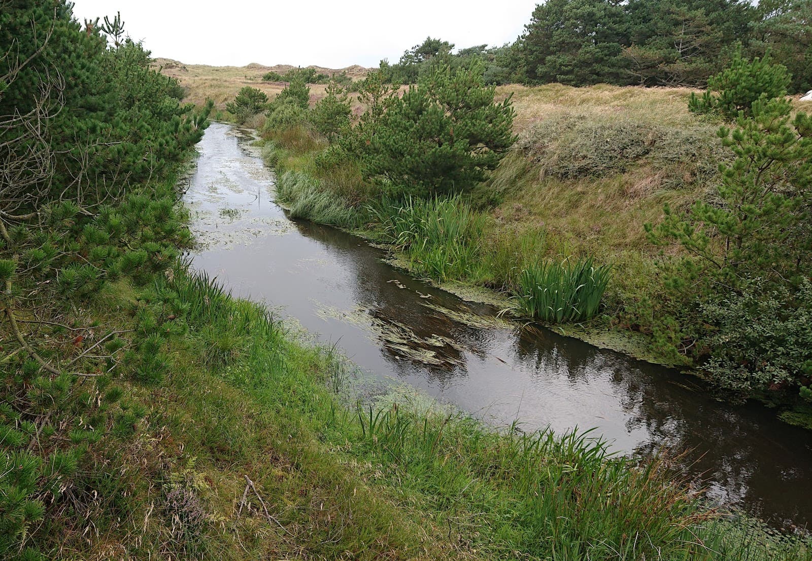 Grærup Strand - Image 1