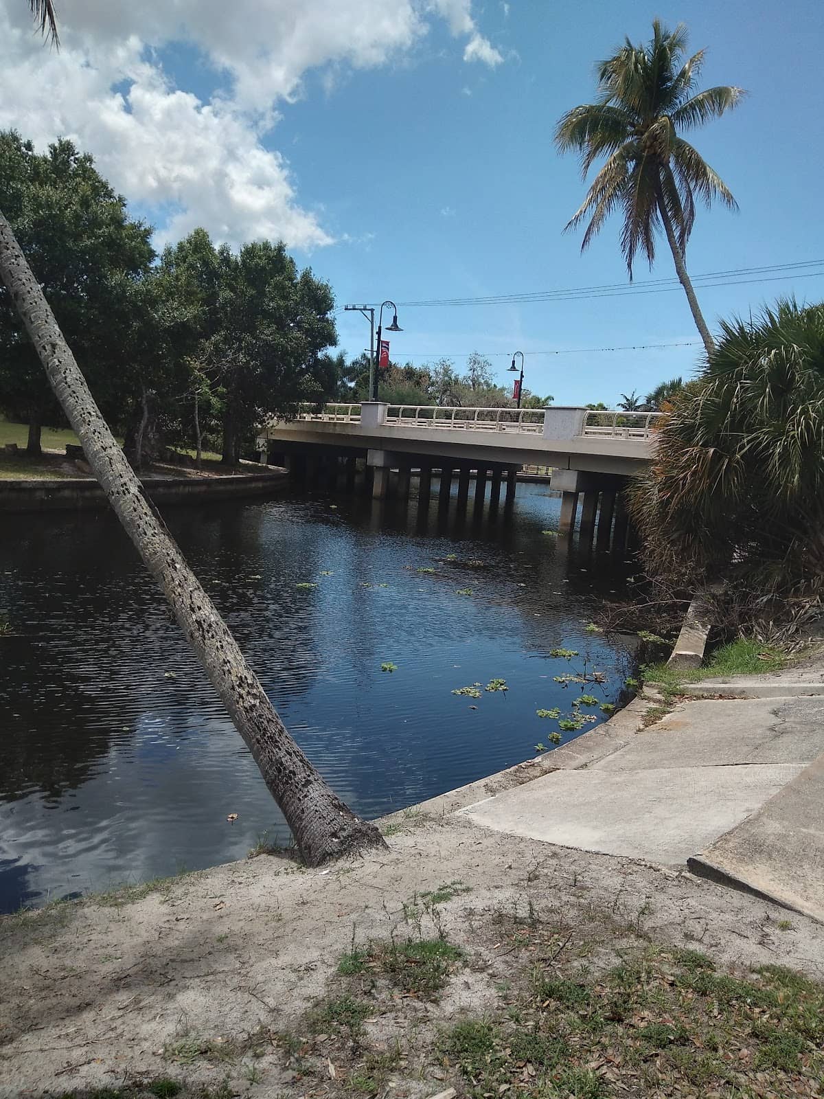 Comfort Food Classics