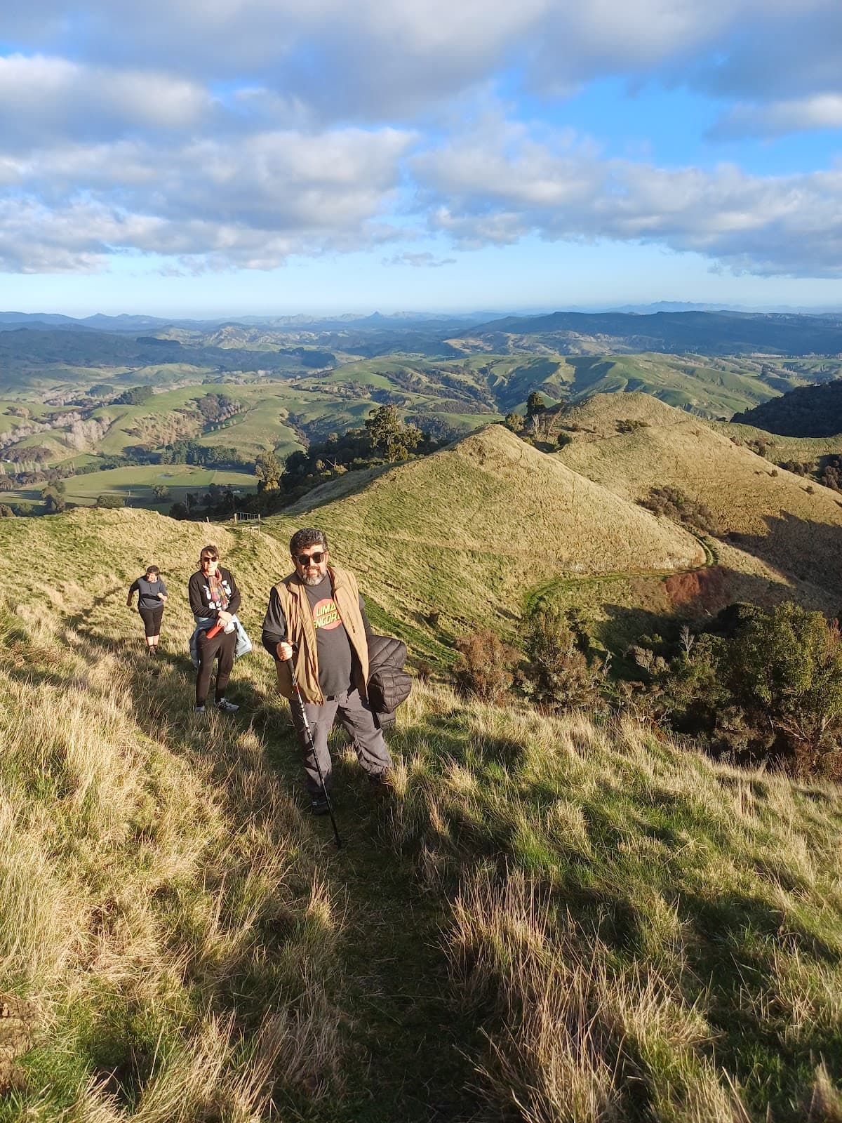 Rewanui Forest Park - Image 1