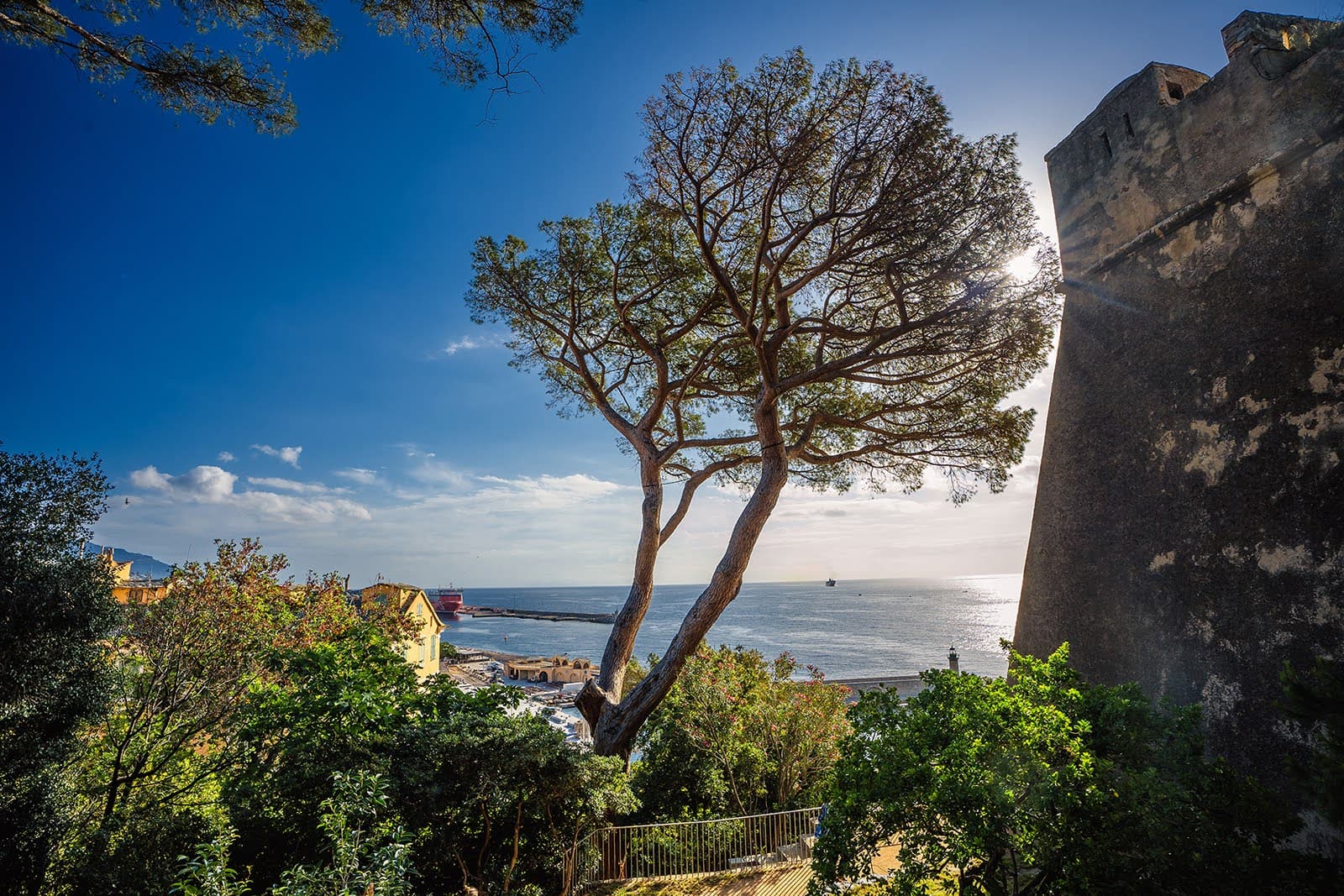 Jardin Romieu (Bastia) - Image 1