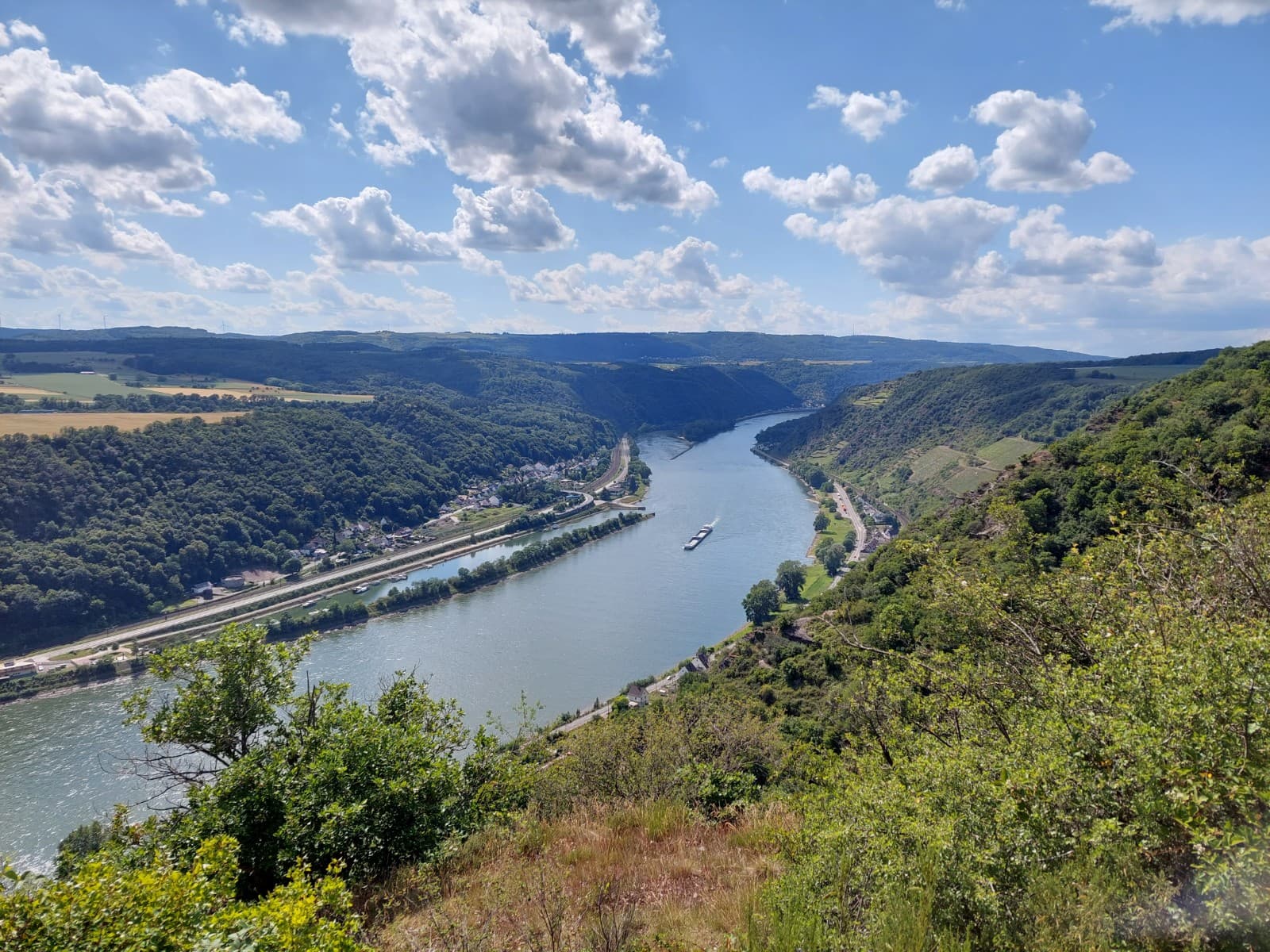 Rheinsteig Rüdesheim-Assmannshausen - Image 1