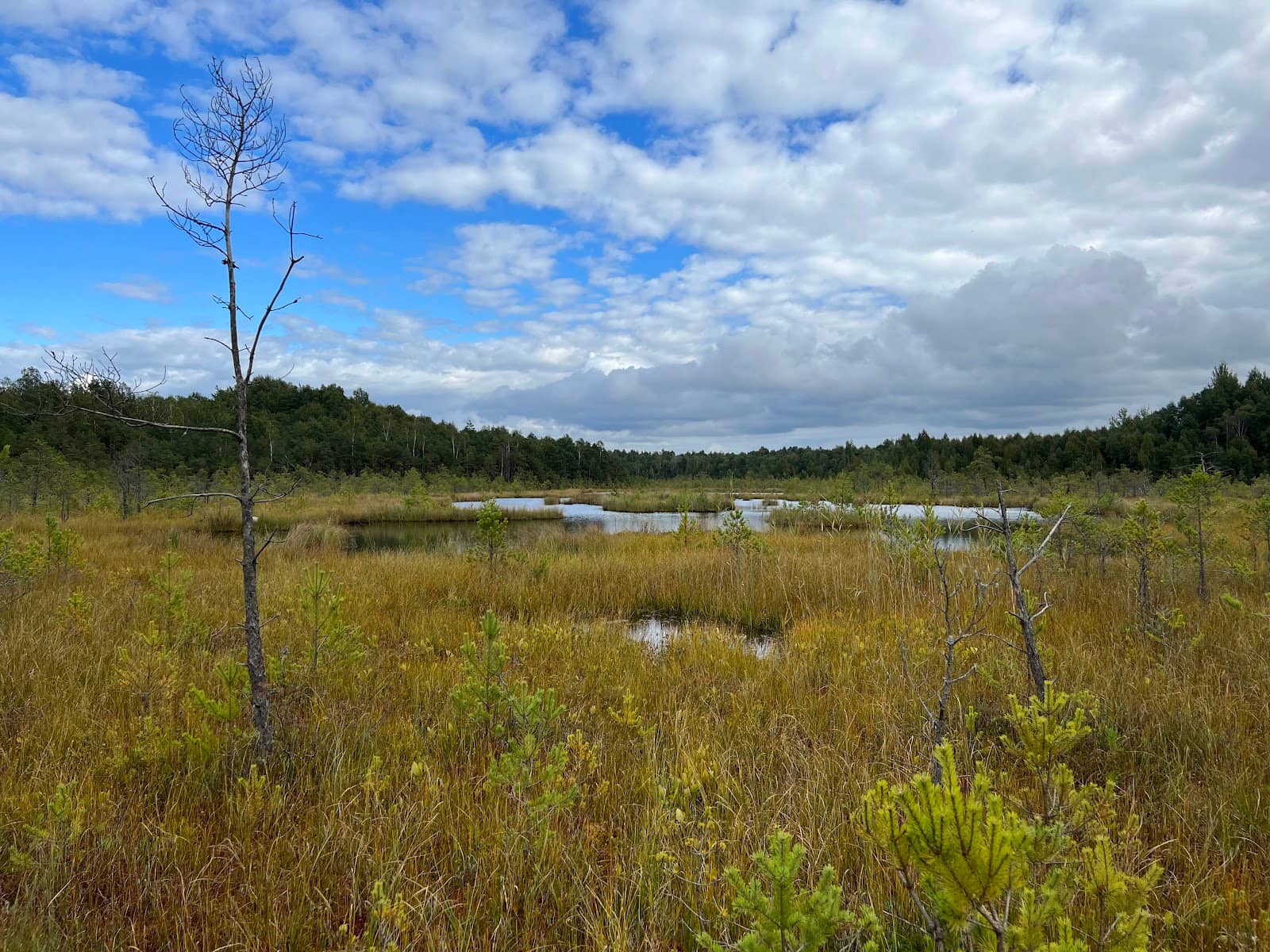 Breathtaking Forest Views