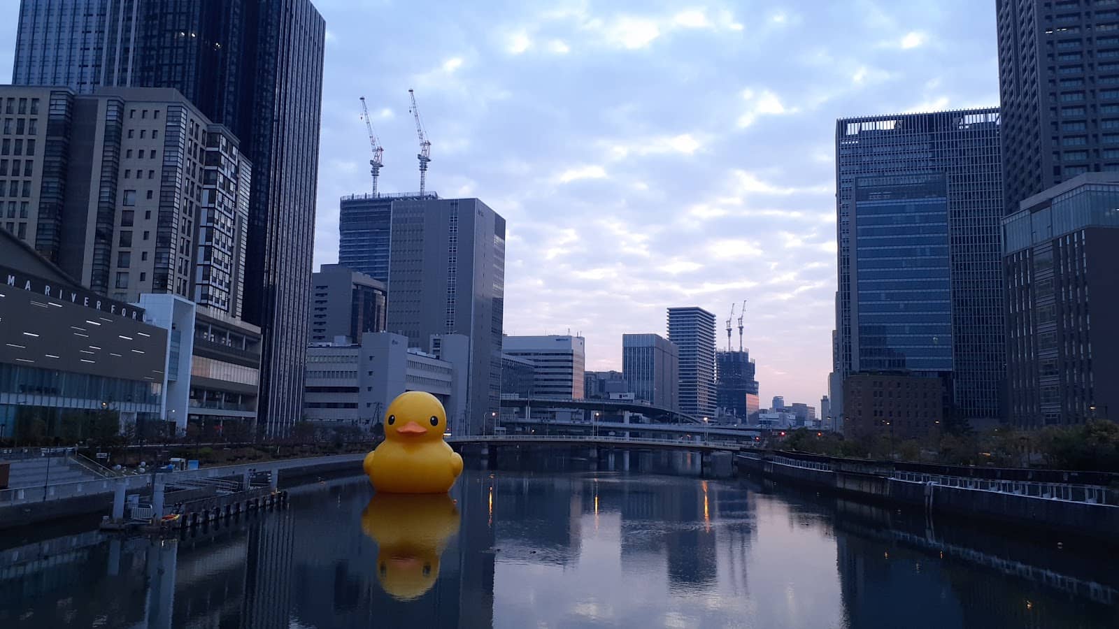 Amerikamura's Unique Vibe