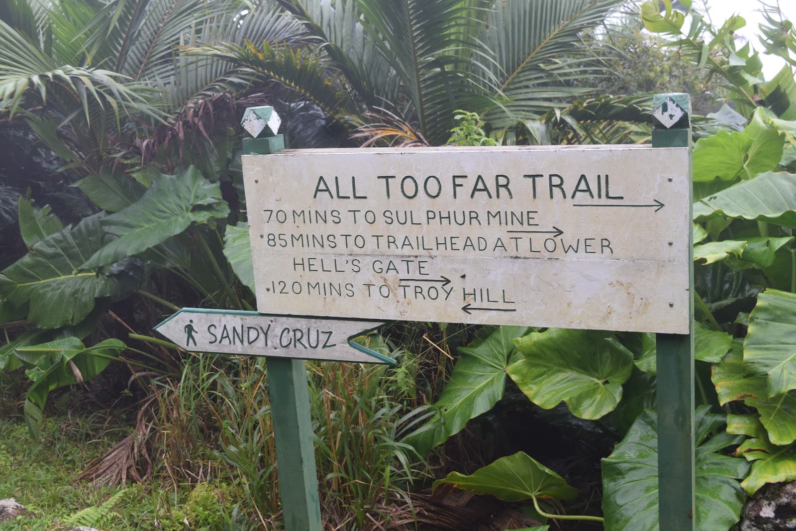 Sandy Cruz Trail - Image 1